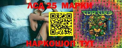 spice Кимры