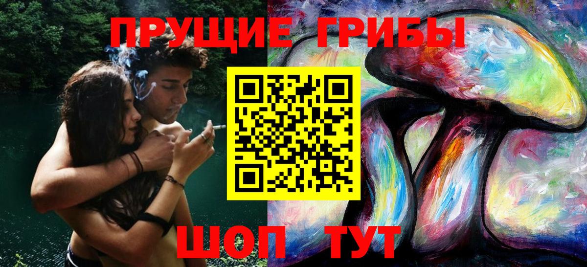 Тюмень  Псилоцибиновые грибы Psilocybe  Вход с VPN  Псилоцибиновые грибы мухоморы 